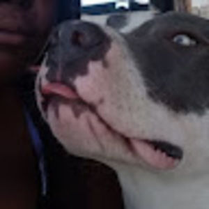 Meet your Posher, Ray